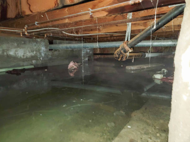 Best Water damage restoration insurance claims  in Drain, OR