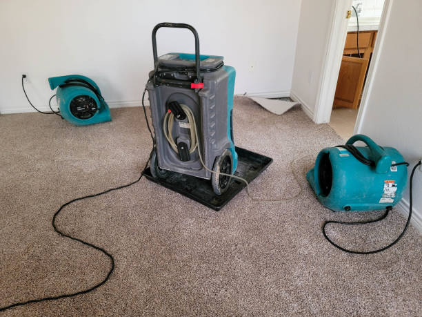 Best Water damage cleanup near me  in Drain, OR