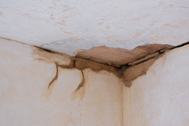 Best Water damage contractors near me  in Drain, OR