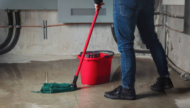 Best Commercial water damage restoration  in Drain, OR