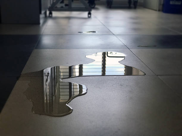Best Flood restoration services  in Drain, OR