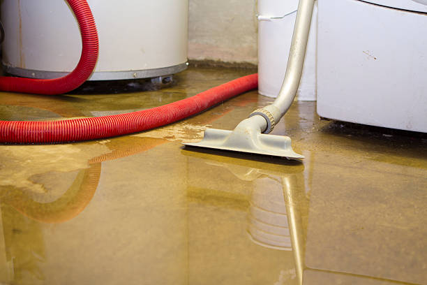 Best Ceiling water damage repair  in Drain, OR