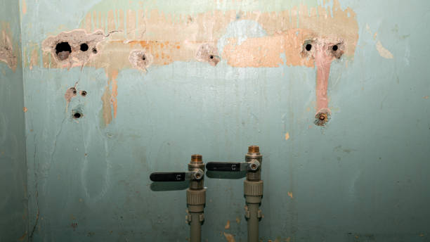 Best Carpet water damage restoration  in Drain, OR