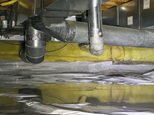 Best Water damage cleanup near me  in Drain, OR