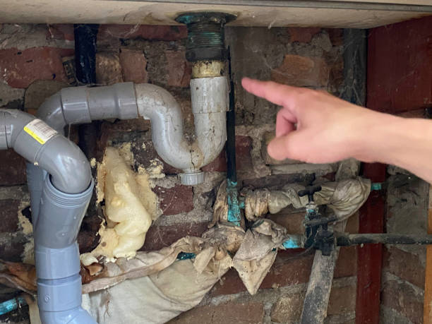 Best Water damage mitigation services  in Drain, OR